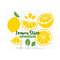 MR-310202311045-lemon-slice-svgfruits-dxffruit-svgfurit-cut-filelemon-image-1.jpg