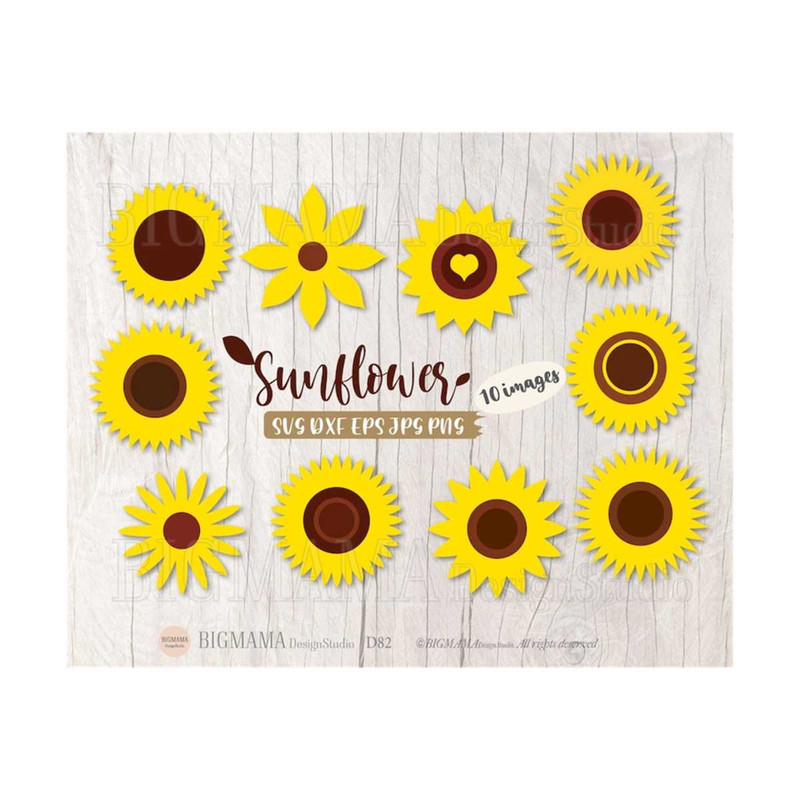 MR-310202311142-sunflower-bundle-svgparty-image-1.jpg