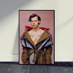 Harry Styles Music Poster Wall Art Print, Living Room Decor, Home Decor, Art Poster For Gift