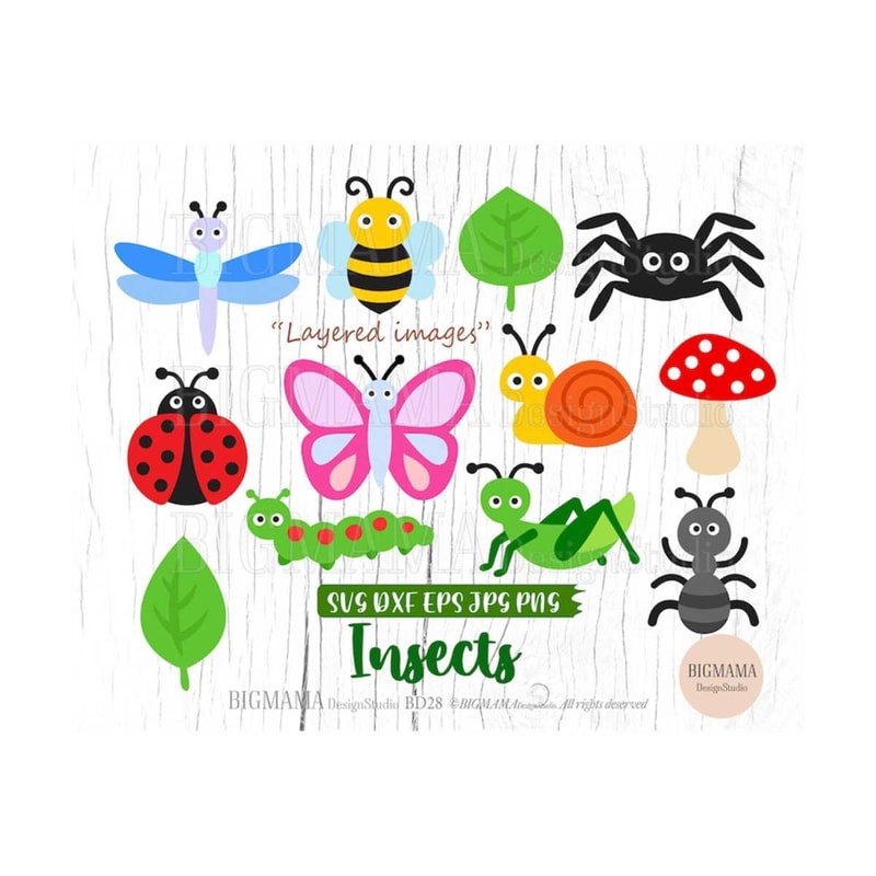 MR-310202311119-insects-svg-bundlebugslayeredcut-image-1.jpg