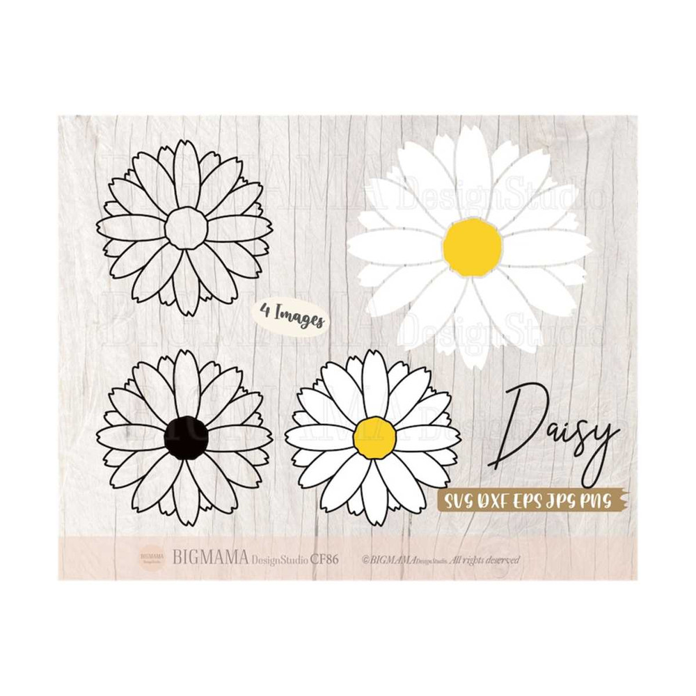 MR-3102023111416-daisy-svgfloraldaisy-layereddxfflowerbundlecut-image-1.jpg