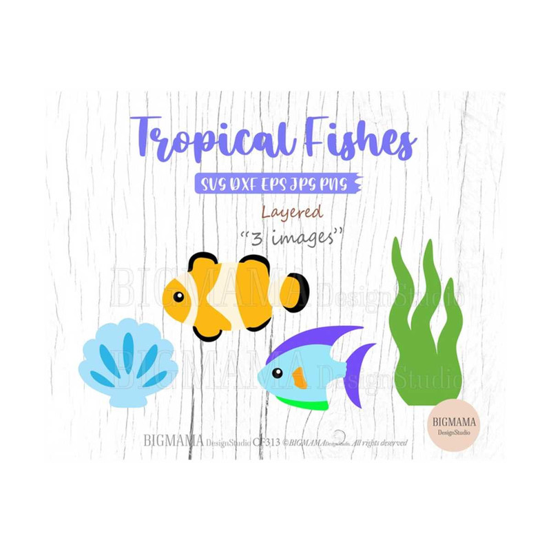 MR-3102023111859-cute-tropical-fishes-svgbaby-showerdxfsea-image-1.jpg