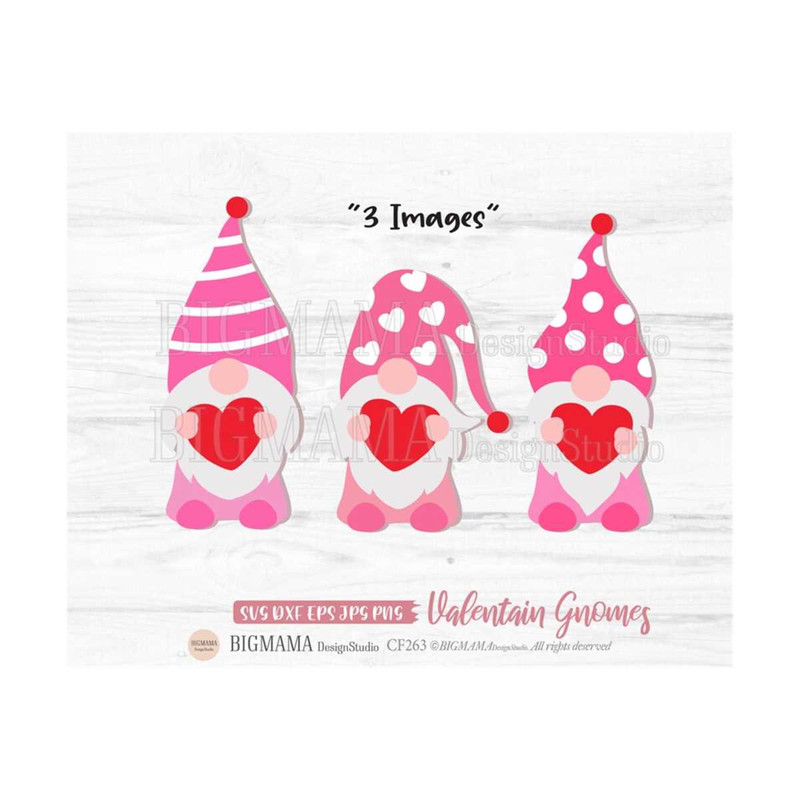 MR-3102023112347-valentine-gnomes-svggnome-with-image-1.jpg