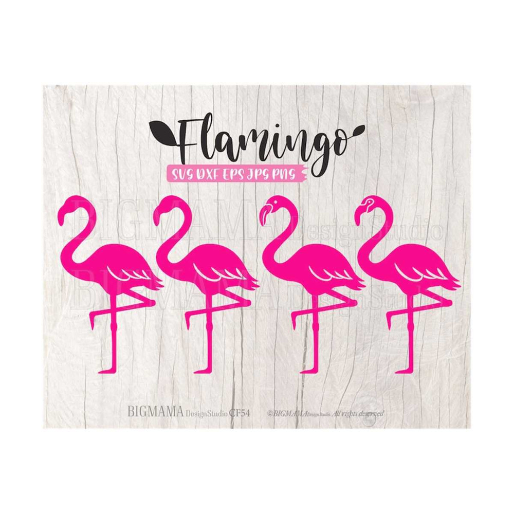 MR-3102023112717-flamingo-svgflamingo-cut-fileflamingo-printflamingo-svg-image-1.jpg