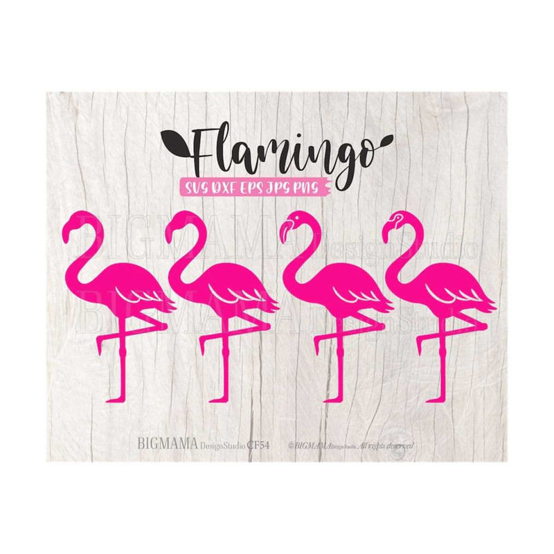 MR-3102023112717-flamingo-svgflamingo-cut-fileflamingo-printflamingo-svg-image-1.jpg
