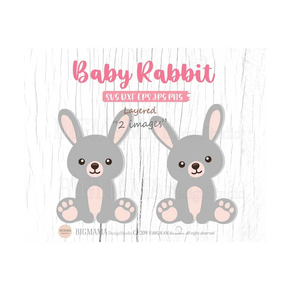 MR-3102023113240-baby-rabbit-svgwoodland-animalsnurseryrabbit-svg-image-1.jpg