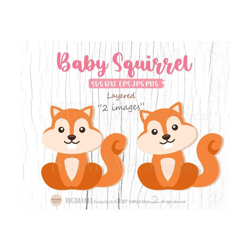 MR-3102023113346-baby-squirrel-svgwoodland-animalsnurserysquirrel-svg-image-1.jpg