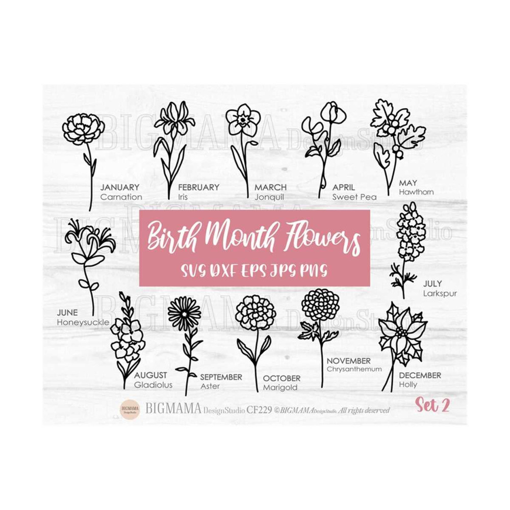 MR-310202311363-birth-month-flowers-svgwildflowerbirthday-image-1.jpg