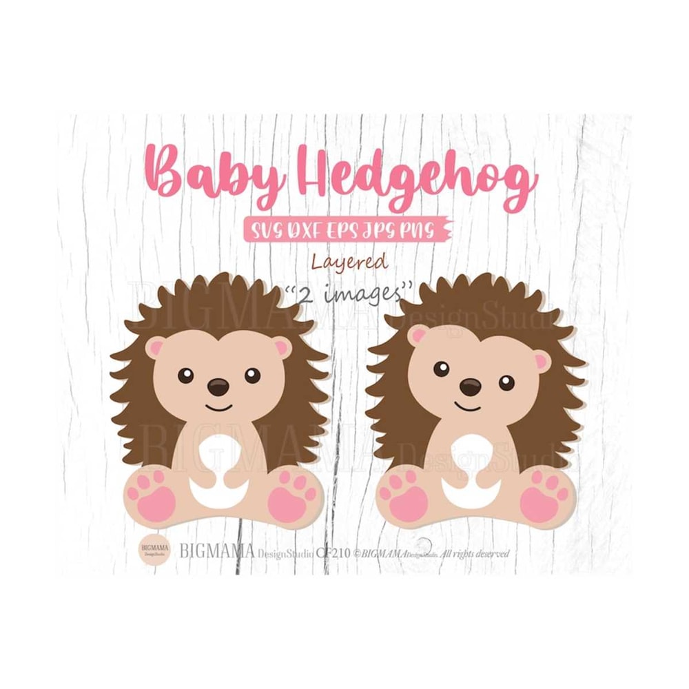 MR-3102023113633-baby-hedgehog-svgwoodland-animalsnurseryhedgehog-svg-image-1.jpg