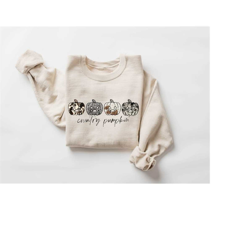 MR-3102023135024-halloween-pumpkin-sweatshirt-country-pumpkin-hoodie-image-1.jpg