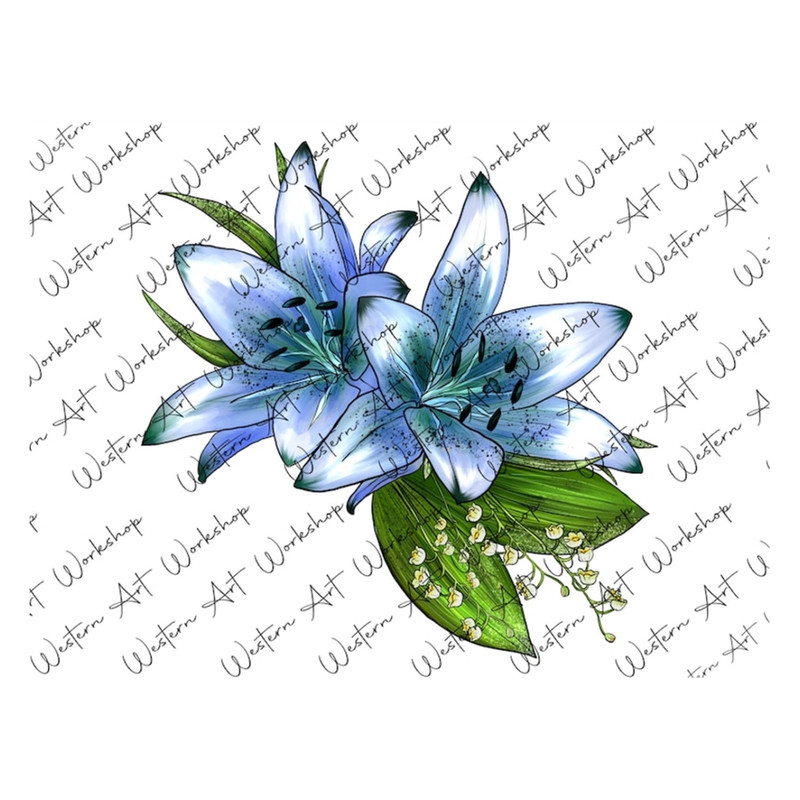 MR-3102023135255-blue-lily-sublimation-png-lily-watercolor-illustration-image-1.jpg