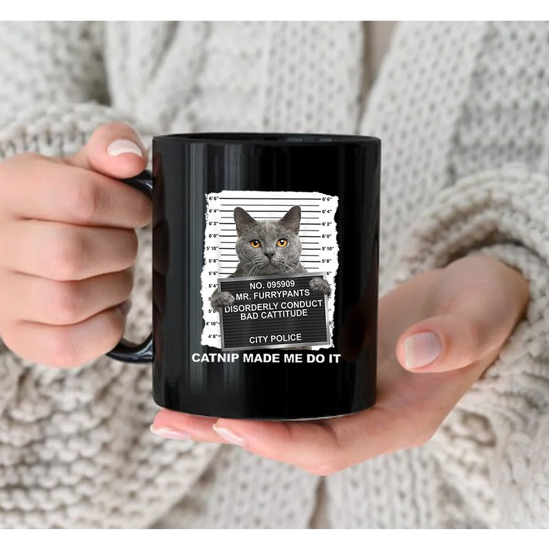 Catnip Made Me Do It Funny Cat Tea Mug, Funny Cat Mug, Coffee Mug - 2.jpg