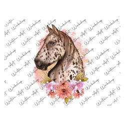 floral appaloosa horse png, horse png, horse png sublimation design, hand drawn appaloosa horse png, barnyard animals, h