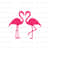 MR-31020231681-flamingo-svg-flamingo-clipart-flamingo-cut-file-cricut-cut-image-1.jpg