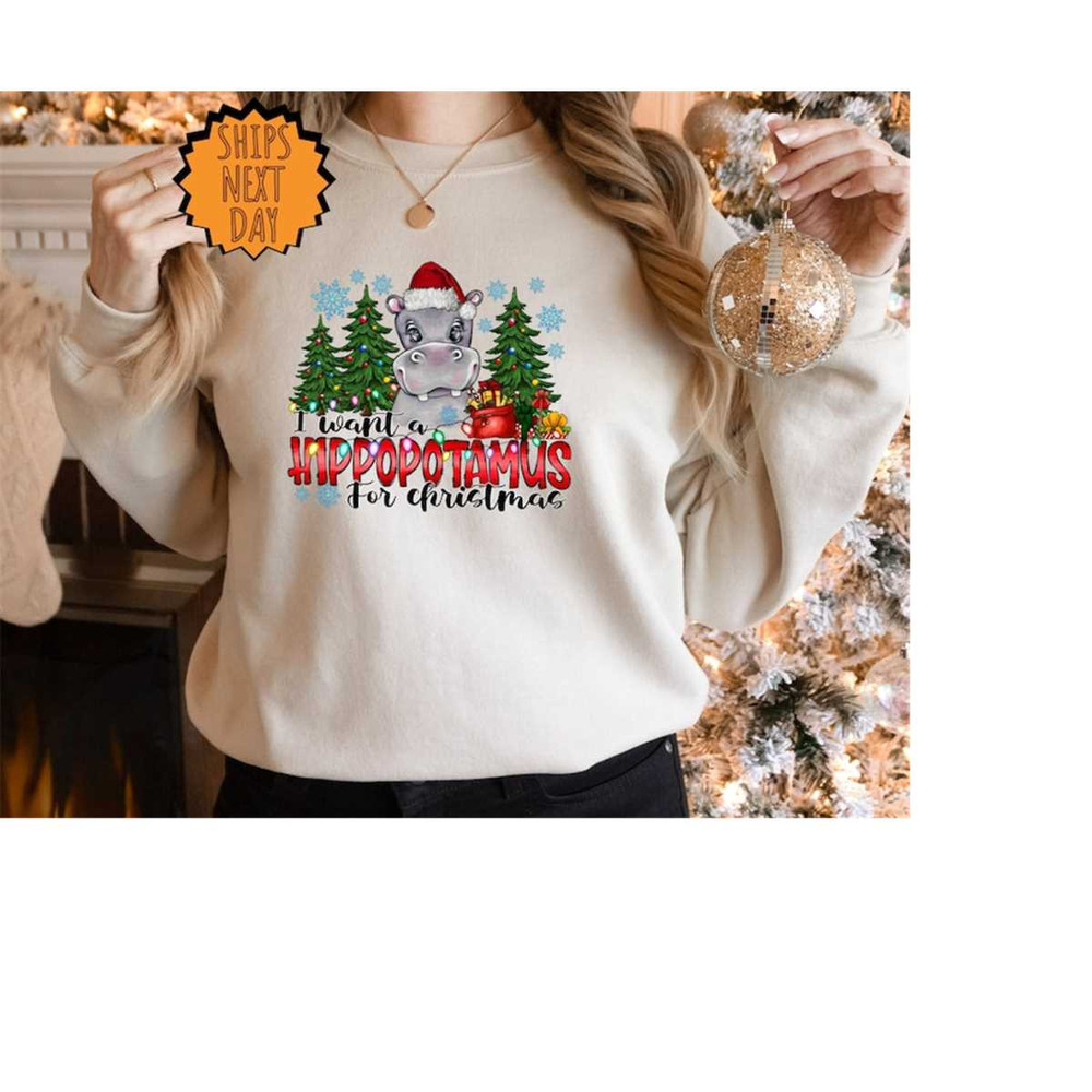 MR-3102023161538-i-want-a-hippopotamus-for-christmas-sweatshirtchristmas-image-1.jpg