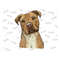 MR-310202316179-watercolor-pitbull-png-cute-pitbull-png-sublimation-design-image-1.jpg