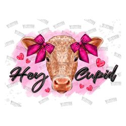 hey cupid cow png sublimation design,happy valentine's day png,valentine day png,hey cupid png,cow love png,cow png,cupi