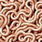 Copper Pipes 42.jpg