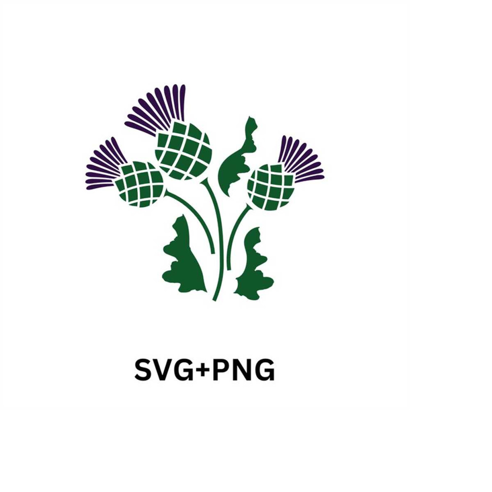 MR-410202303634-scottish-thistle-digital-svg-printable-cut-file-scottish-image-1.jpg