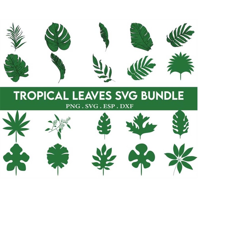 MR-41020230467-tropical-leaves-svg-bundle-silhouette-cut-files-circut-image-1.jpg