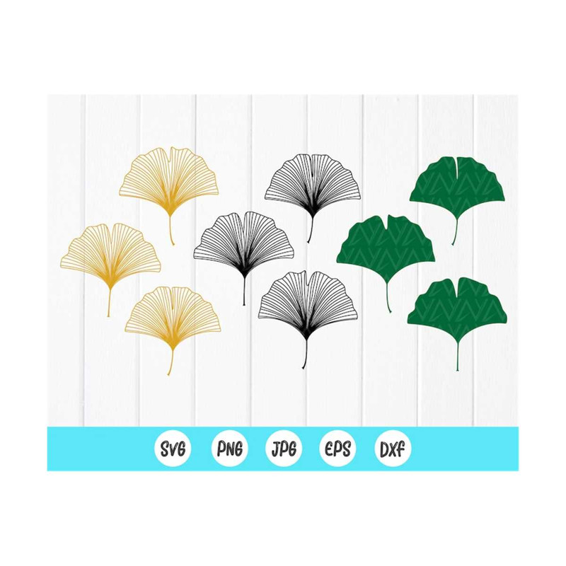 MR-41020238244-ginko-biloba-leaves-svg-ginkgo-leafs-cut-file-ginkgo-leaves-image-1.jpg