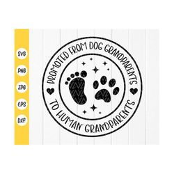 promoted from dog grandparents to human grandparents svg, dogs grandparents svg, expecting reveal svg, instant download