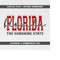 MR-41020238272-florida-svg-the-sunshine-state-collegiate-svg-cricut-svg-image-1.jpg