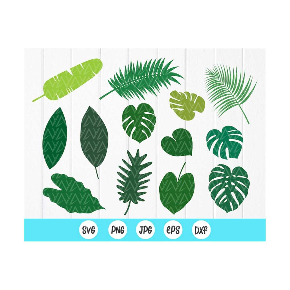 MR-410202383150-tropical-leaves-svgjungle-leaves-monstera-leaf-svgpalm-leaf-image-1.jpg