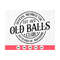 MR-410202383155-official-member-the-old-balls-club-est-1973-svg-50th-image-1.jpg