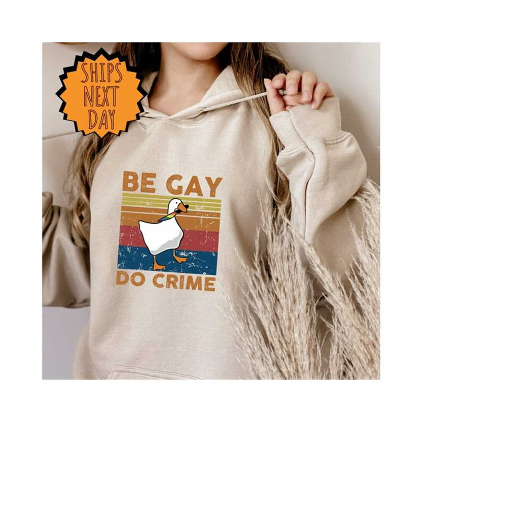 MR-410202384845-be-gay-do-crime-hoodie-be-gay-hoodie-funny-duck-goose-image-1.jpg