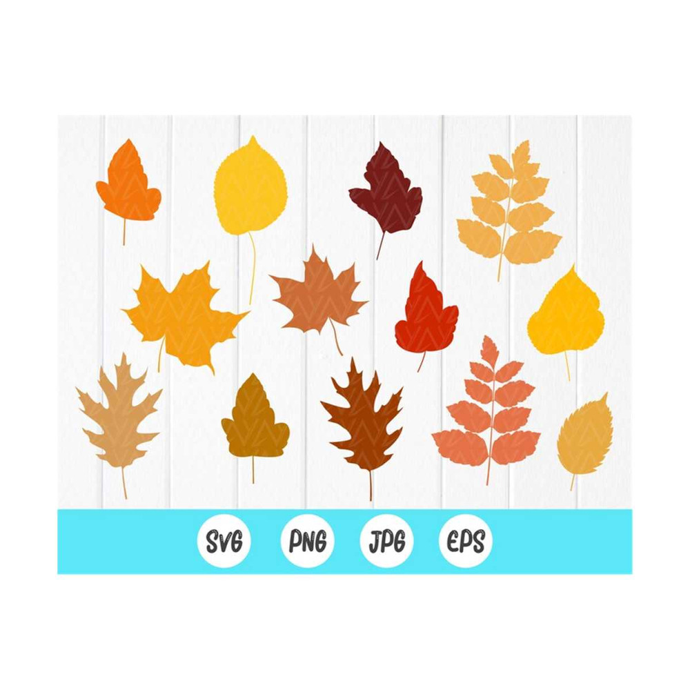 MR-41020238498-fall-leaf-svg-bundleautumn-leaves-svgmaple-leaf-svg-digital-image-1.jpg