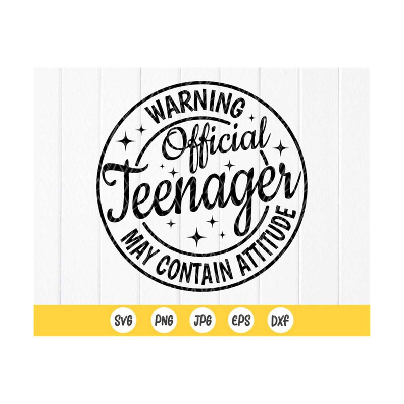 MR-410202310141-warning-official-teenager-svg-13th-birthday-shirt-birthday-image-1.jpg