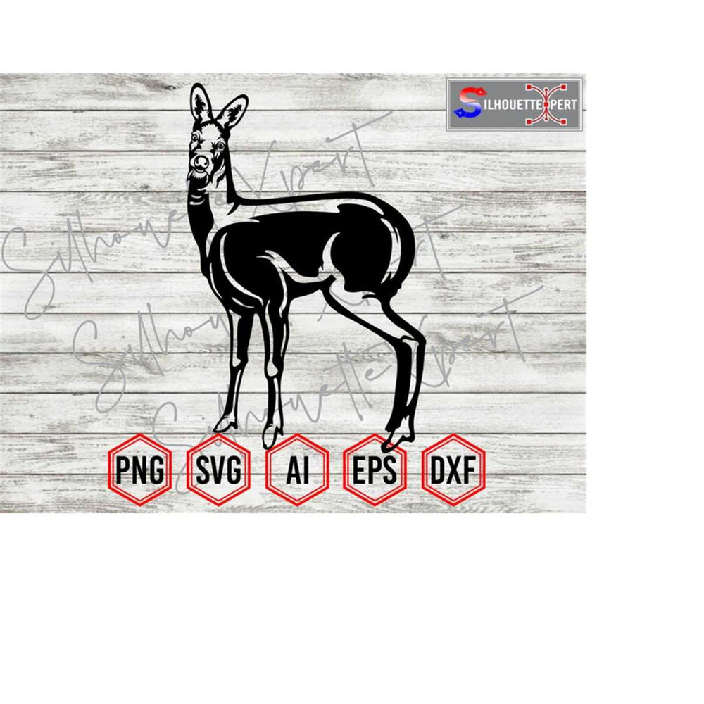 MR-4102023104146-musk-deer-svg-indian-musk-deer-svg-himalayan-musk-deer-svg-image-1.jpg
