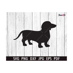 love dachshunds svg daschund heart svg dog weiner dog svg animal svg daschund svg daschund png silhouette cut files circ
