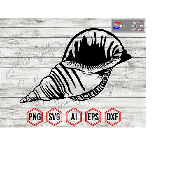 Seashell Silhouette 10, Oyster shell svg, Seashell svg, Ocea - Inspire ...