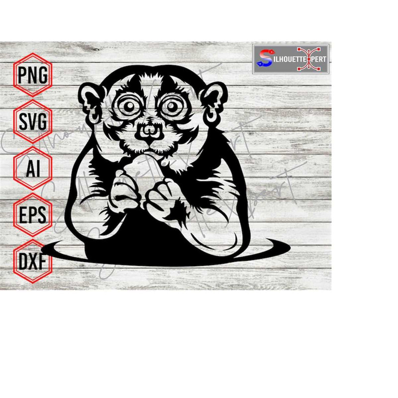 MR-4102023112922-eating-slow-loris-svg-slow-loris-svg-animal-svg-wildlife-image-1.jpg