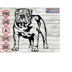 angry face british bulldog svg, bulldog svg, dog svg, pet svg - cricut, cnc, laser, vinyl cutter, decal sticker, t-shirt