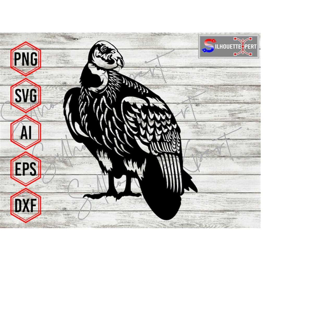 MR-4102023113252-condor-svg-predator-bird-svg-bird-svg-clipart-silhouette-image-1.jpg