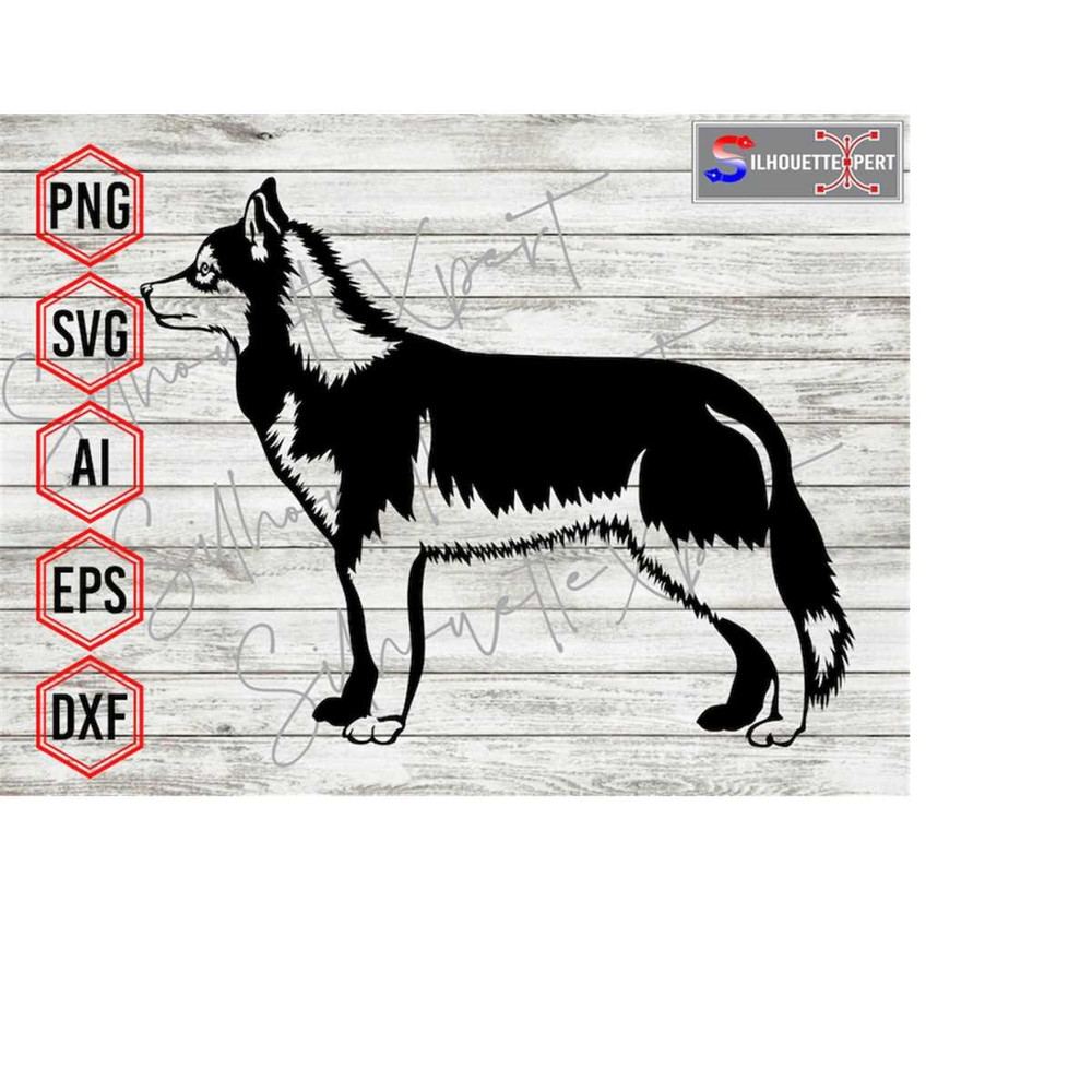 MR-4102023113916-sideview-siberian-husky-svg-husky-svg-animal-svg-dog-svg-image-1.jpg