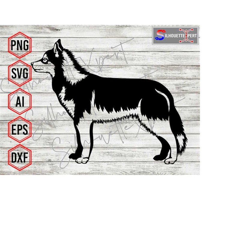 MR-4102023113916-sideview-siberian-husky-svg-husky-svg-animal-svg-dog-svg-image-1.jpg