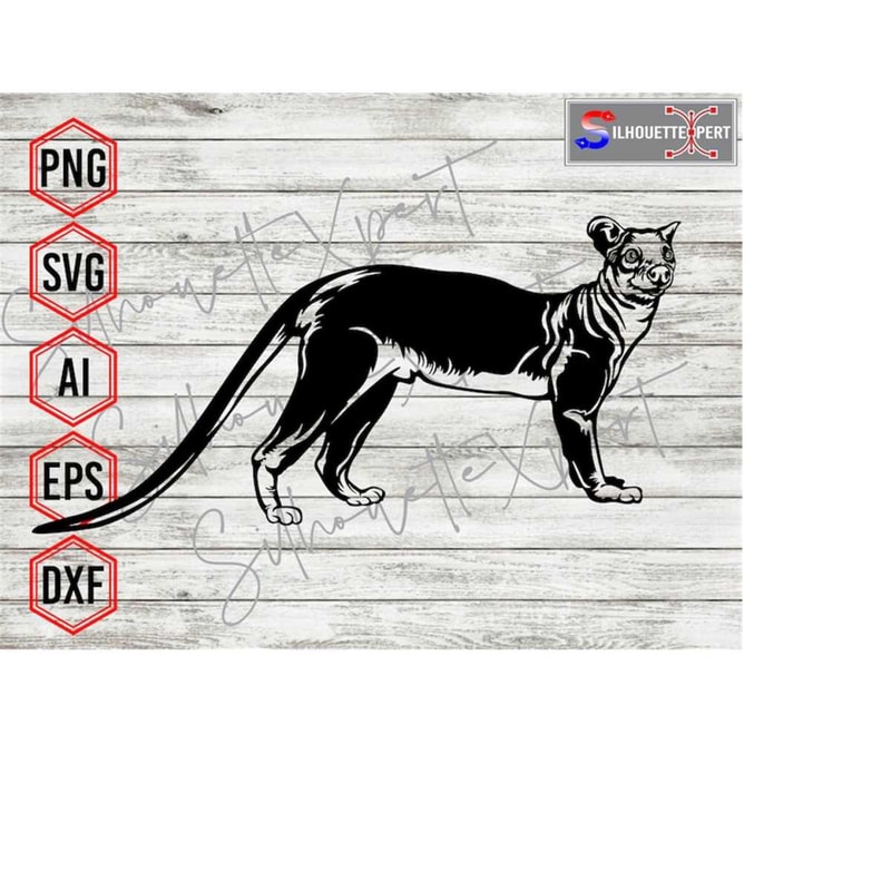 MR-4102023113919-sideview-standing-fossa-svg-fossa-head-svg-animal-svg-image-1.jpg