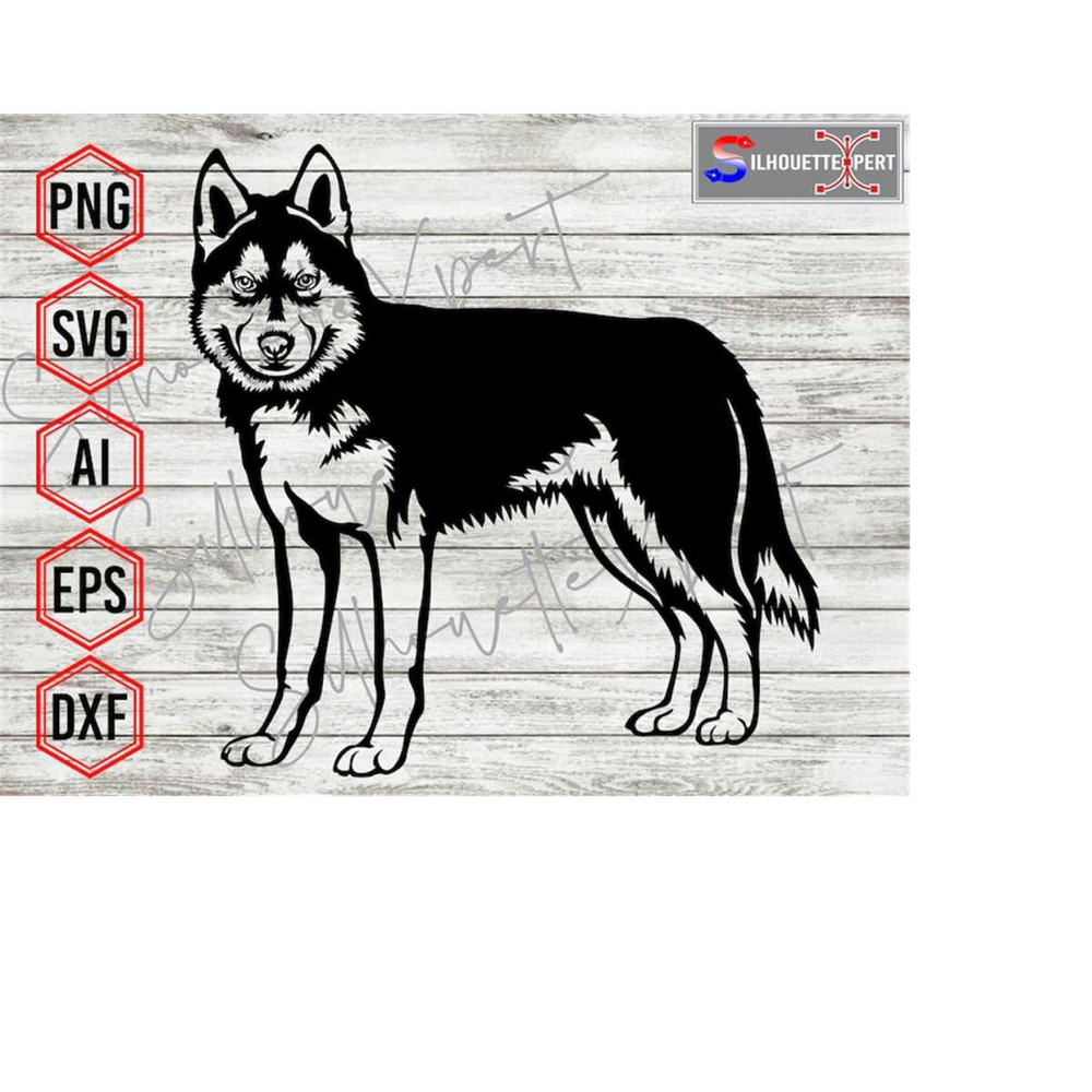 MR-4102023114014-angry-siberian-husky-svg-angry-husky-svg-animal-svg-dog-svg-image-1.jpg