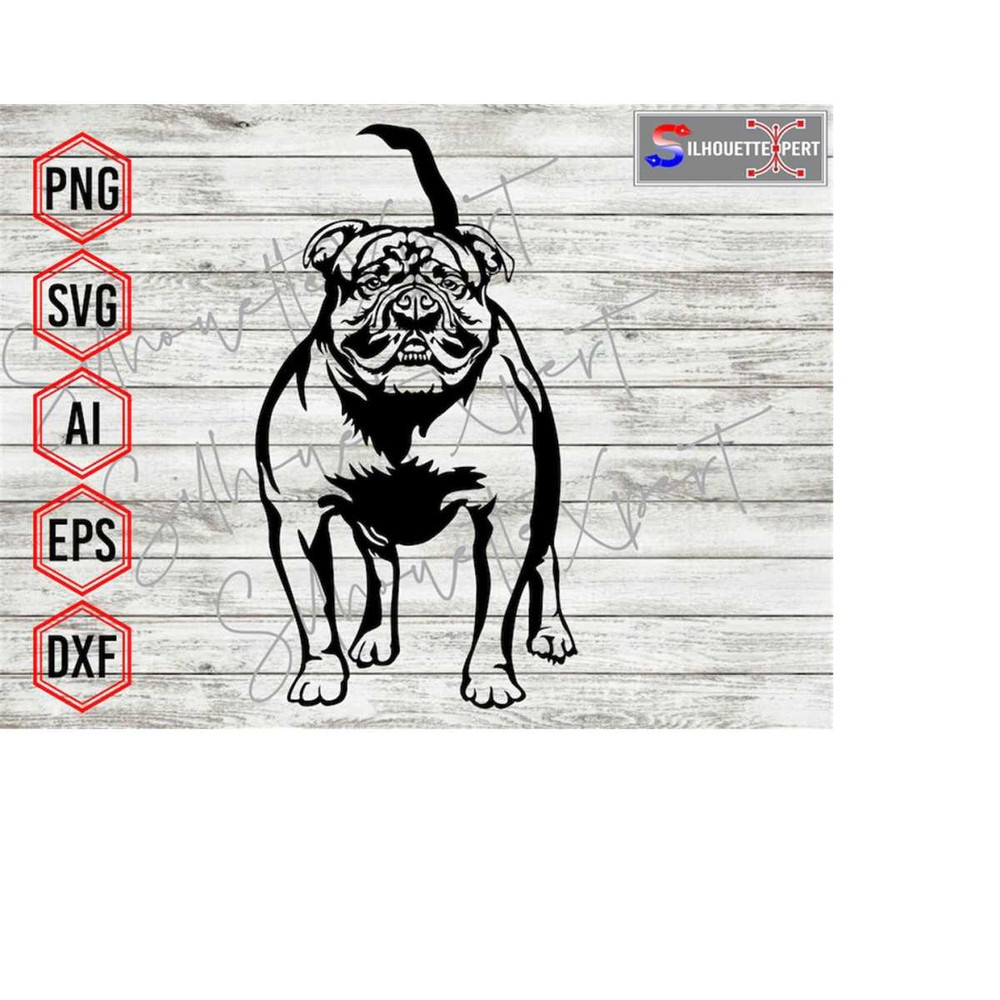 MR-4102023114239-angry-english-bulldog-svg-standing-dog-svg-bulldog-svg-dog-image-1.jpg