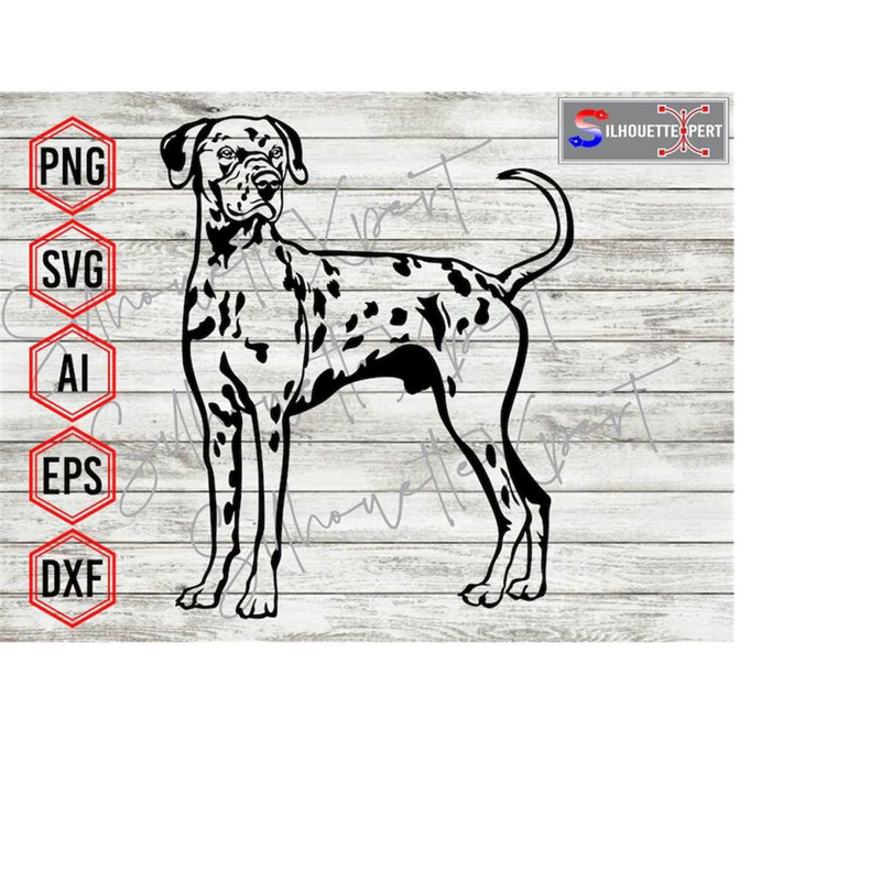 MR-410202311465-standing-dalmatian-dog-svg-staring-dalmatian-svg-pet-svg-image-1.jpg