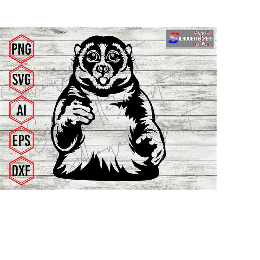 MR-4102023115357-adorable-slow-loris-svg-loris-svg-animal-svg-wildlife-svg-image-1.jpg