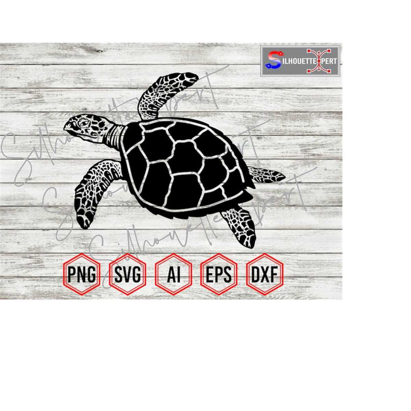 MR-4102023115435-cute-turtle-silhouette-4-turtle-svg-turtle-clipart-image-1.jpg