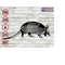 MR-4102023115848-crawling-armadillo-svg-armadillo-silhouette-armadillo-image-1.jpg