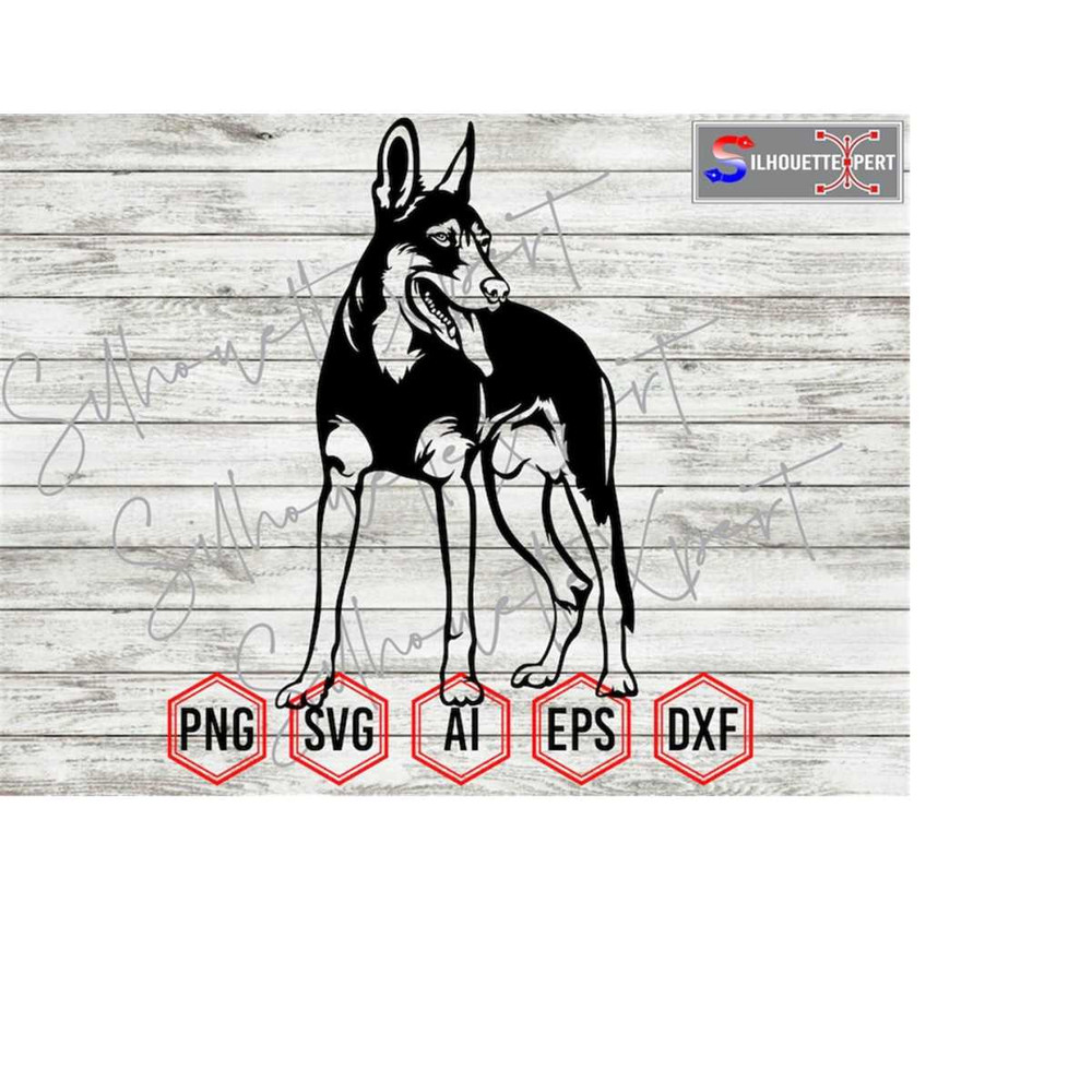 MR-41020231200-standing-belgian-malinois-silhouette-8-belgian-malinois-svg-image-1.jpg