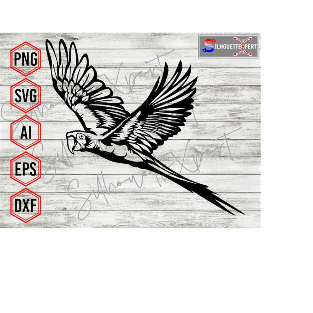 MR-410202312049-adorable-parrot-svg-flying-parrot-svg-pet-svg-macaw-svg-image-1.jpg