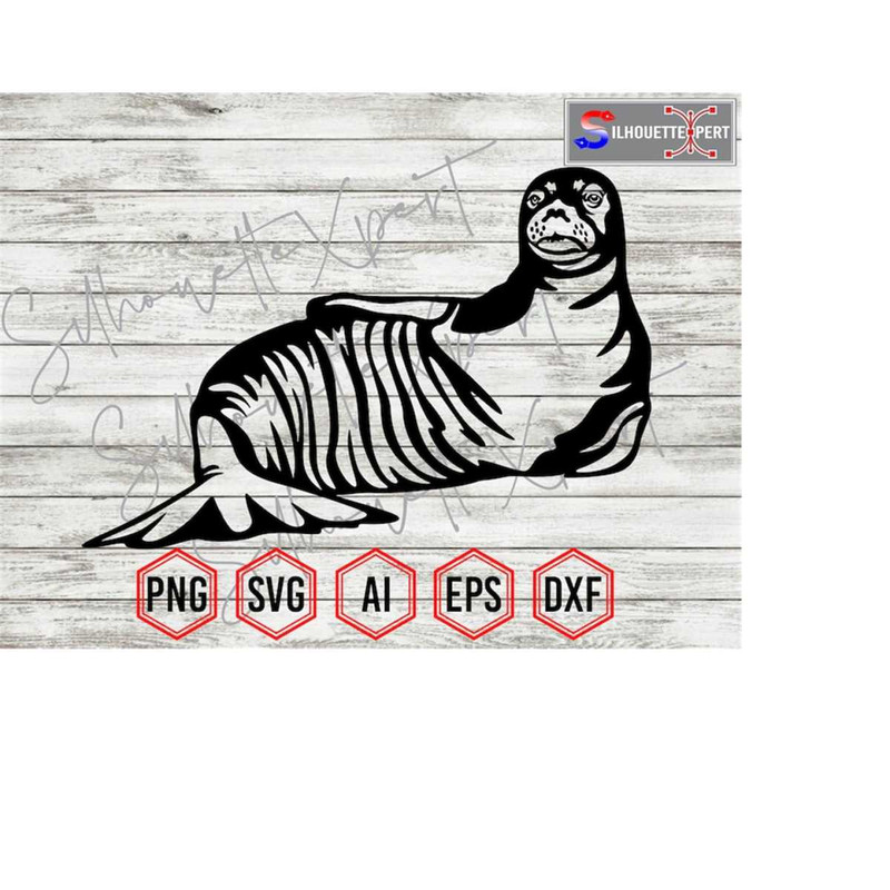 MR-4102023121259-adorable-seal-silhouette-2-seal-svg-sea-lion-svg-ocean-svg-image-1.jpg